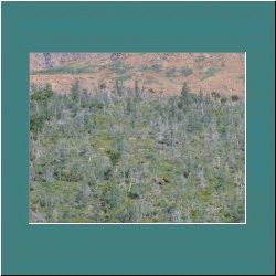 2007CG-0289c-TroutRiverPond.jpg