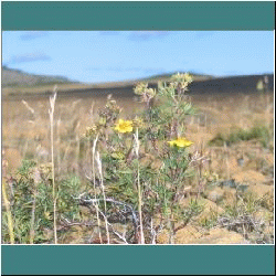 2007CG-0310c-Tablelands.jpg