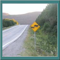 2007CG-0337c-MooseWarning.jpg