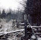 Fence at the Land - Photo by Ulli Diemer