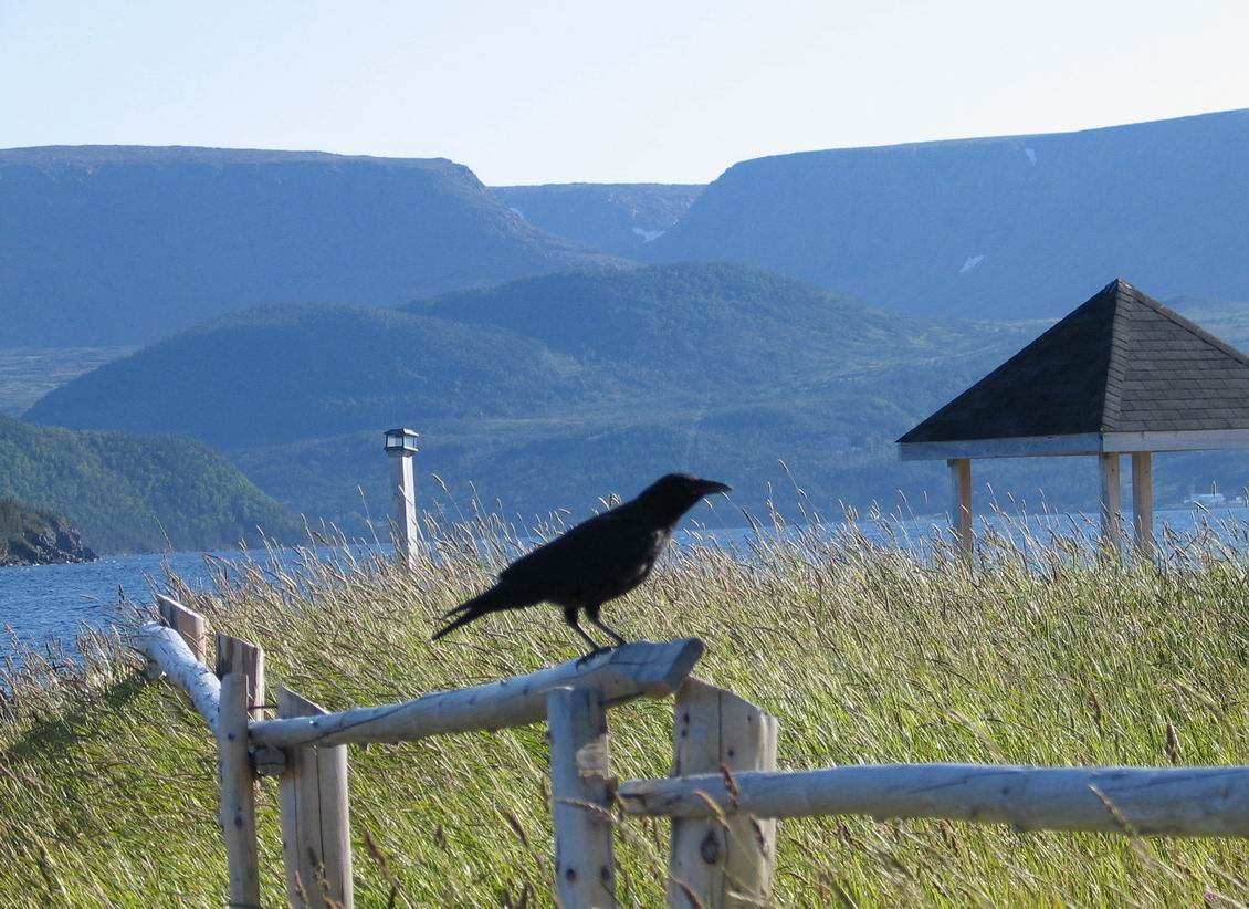 Raven, Noris Point