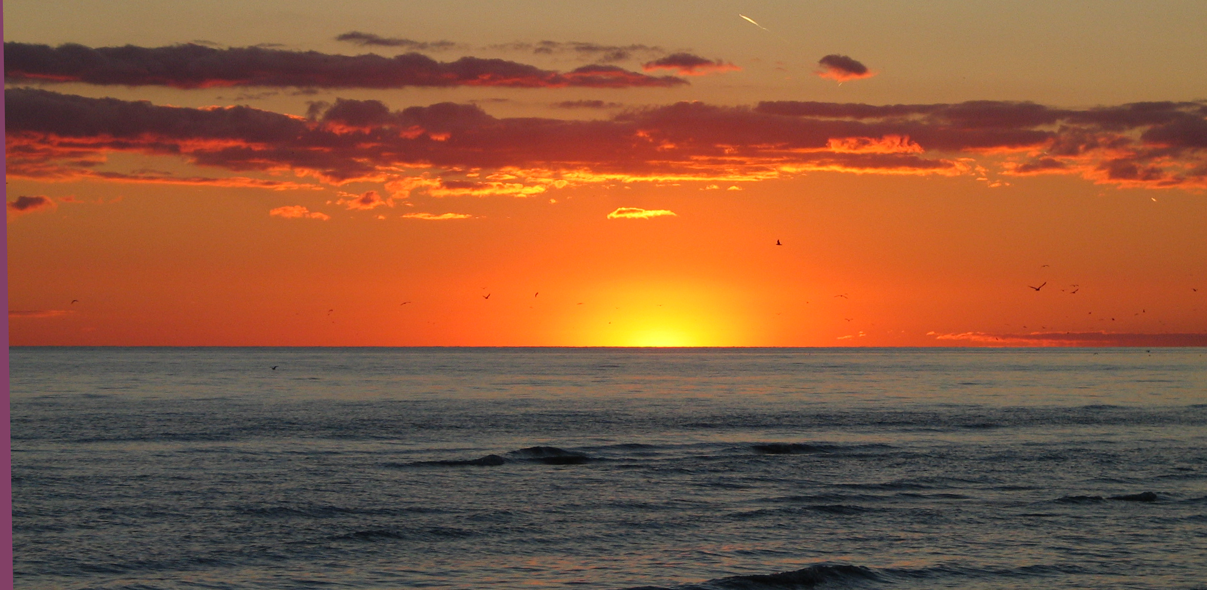 Long Point, 2004. Photo by Ulli Diemer.