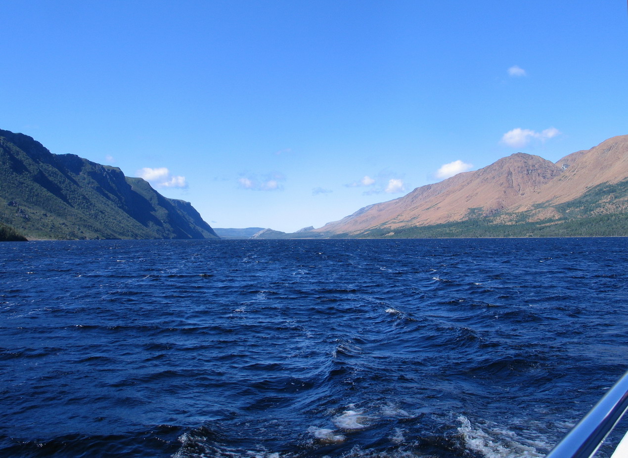 Trout River Pond. Photo by Ulli Diemer