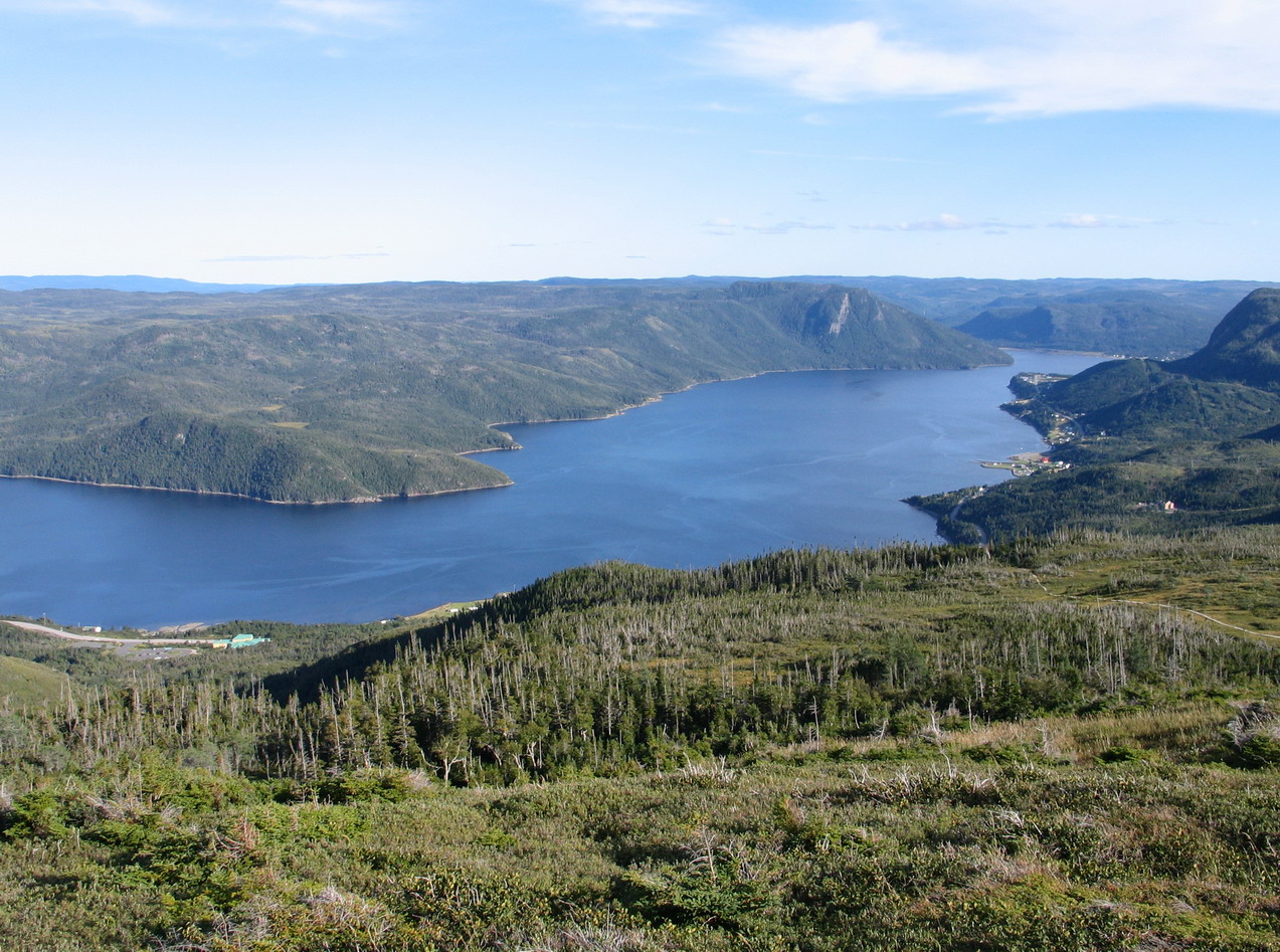 View from Lookout Point. Photo by Ulli Diemer