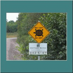 2009CG-0440b-TurtleSign - Photo by Ulli Diemer