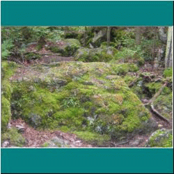 2010CG-0304bw-RocksBruceTrail - Photo by Ulli Diemer