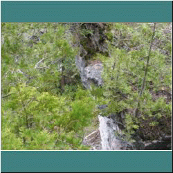 2011CG-0264-BruceTrail - Photo by Ulli Diemer