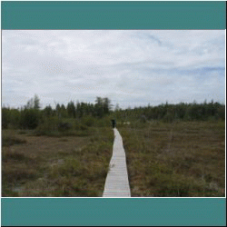 2011CG-0292-MiriamPetrelPointFen - Photo by Ulli Diemer