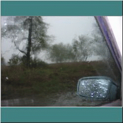 Photo by Ulli Diemer - Rondeau - Lake Erie Storm - View from Car