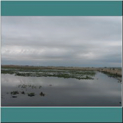 Photo by Ulli Diemer - Marsh - Point Pelee