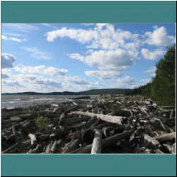 2011CG-0454-Beach-Pukaskwa - Photo by Ulli Diemer