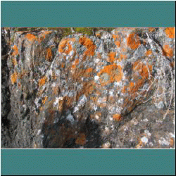 2011CG-0465b-RockswithLichen-Pukaskwa - Photo by Ulli Diemer