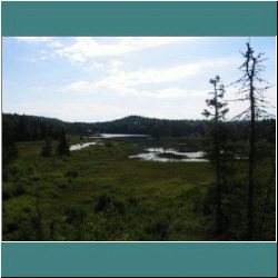 2011CG-0490-HalfwayLakeTrail-Pukaskwa - Photo by Ulli Diemer