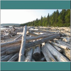 2011CG-0518-Beach-Pukaskwa - Photo by Ulli Diemer