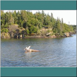 2011CG-0562-Pukaskwa - Photo by Ulli Diemer