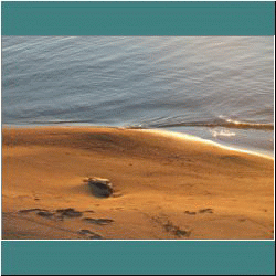 2011CG-0588-Beach-Pukaskwa - Photo by Ulli Diemer