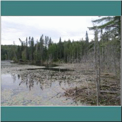 2011CG-0800-TrappersTrail-LakeSuperiorPark - Photo by Ulli Diemer