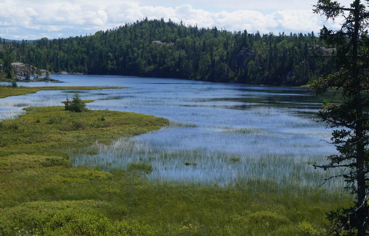 Bimose Kinoomagewnan, Pukaskwa National Park - Photo by Miriam Garfinkle.