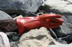 Rubber Glove - Photo por Ulli Diemer