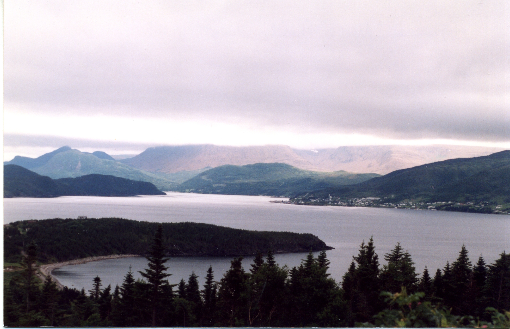 Overlooking Bonne Bay, Newfoundland. Photo by Miriam Garfinkle.