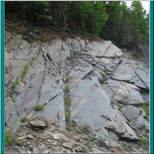 2005CG-0360b-RocksGrosMorne - Photo by Ulli Diemer