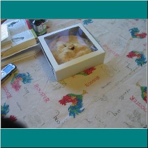 2012CG-0086w-ApplePie