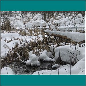 2012CG-0127w-AlgonquinPark