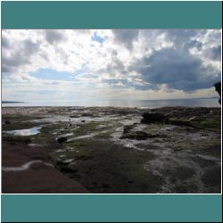 Photo by Ulli Diemer D23-07-2015CG-0613-Burncoat-LowTide.jpg