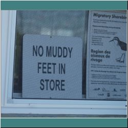 Photo by Miriam Garfinkle Photo by Ulli Diemer - No Muddy Feet in Store