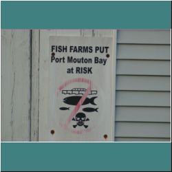 Photo by Miriam Garfinkle D26-31-DSC07442-Anti-fishfarmssign.jpg