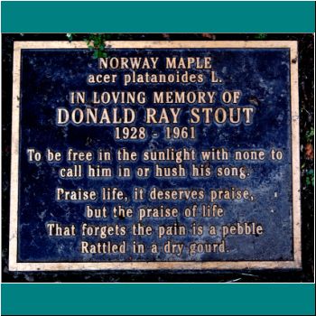 Donald Ray Stout - Toronto Necropolis - Photo by Ulli Diemer