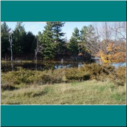 The Pond at Hedy's - Photo by Miriam Garfinkle