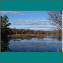 The Pond at Hedy's - Photo by Miriam Garfinkle