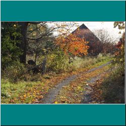 Approaching Hedy's Place - Photo by Miriam Garfinkle